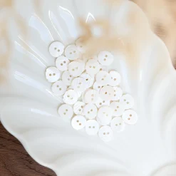 bouton forme coquillage