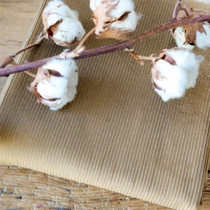 velours côtelé marron