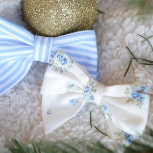 duo petites barrettes