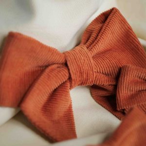 Accueil 4 barrette maxi noeud velours