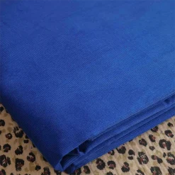 velours fines côtes bleu